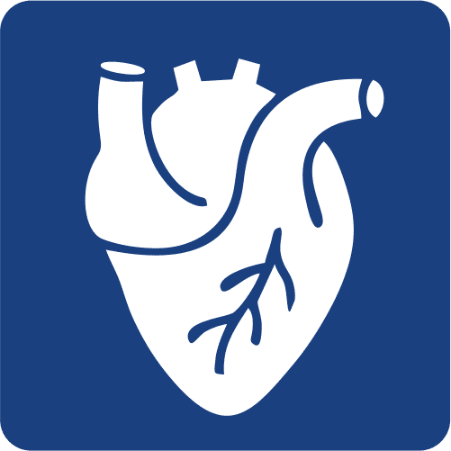 PERFIL CORAZON SANO