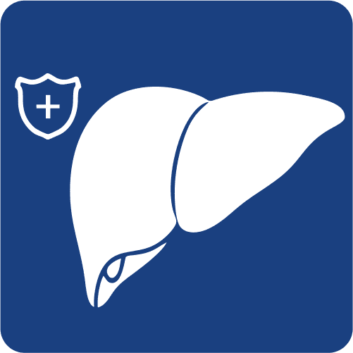 PERFIL HIGADO SANO