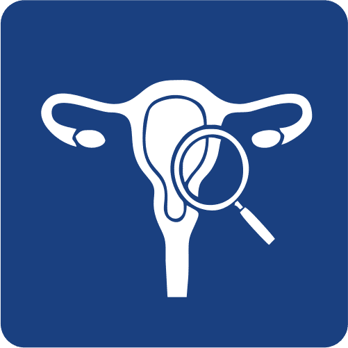 PERFIL HORMONAL FEMENINO