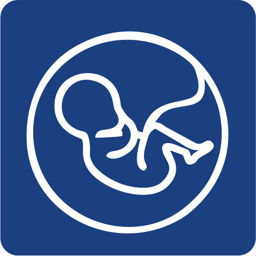 PERFIL PRENATAL