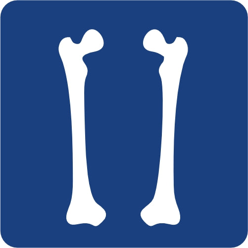 RX FEMUR