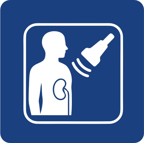 USG RENAL
