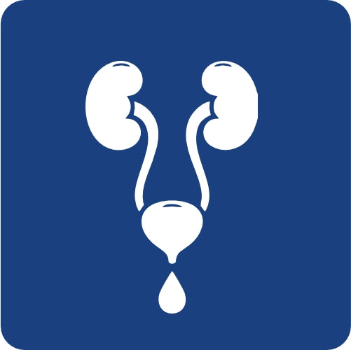 USG DE VÍAS URINARIAS